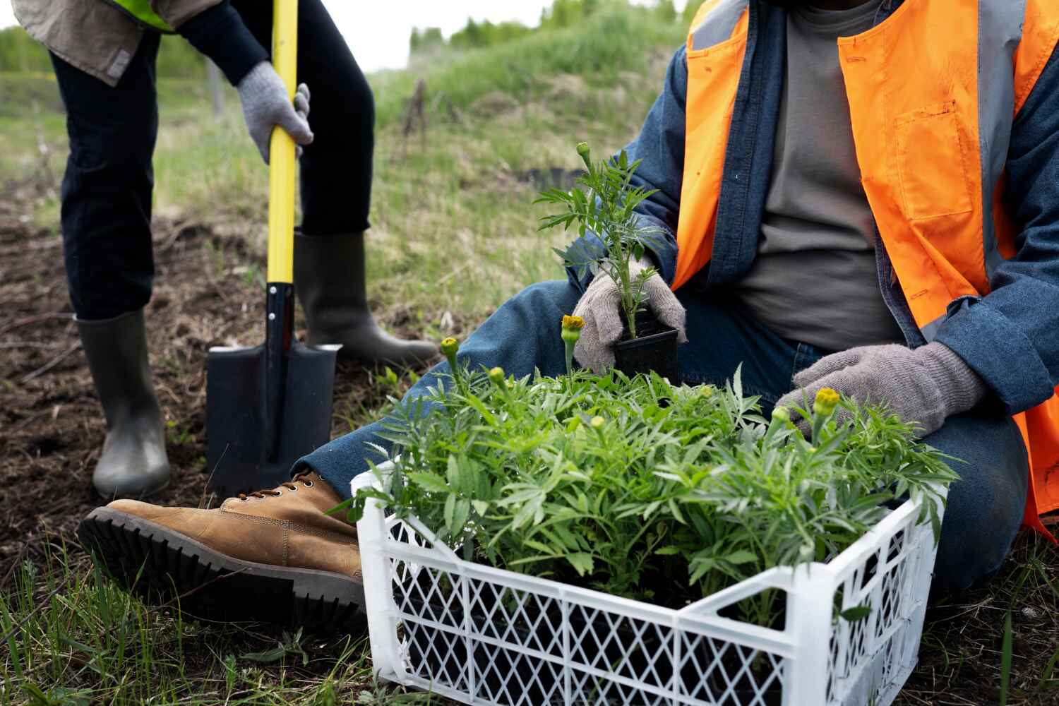 Best Tree Root Removal  in Twin Lake, MI